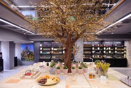 The Apivita Experience Store