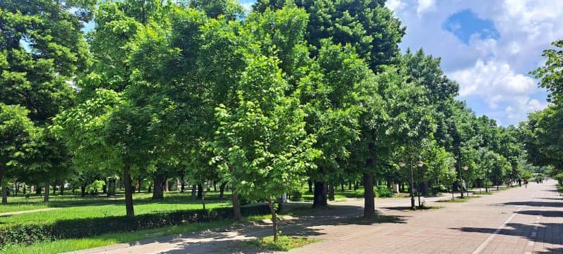 City Park