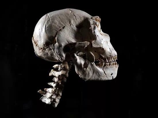 Museo de la Evolucion Humana