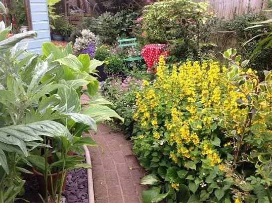 Cupani Garden