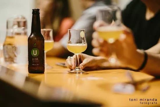Lluna Cerveses Bio