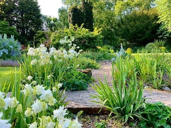 Denmans Garden