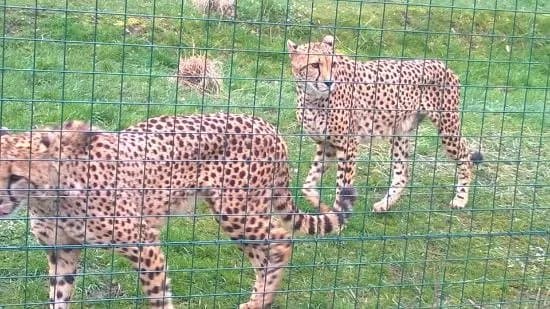 Tierpark Aachen