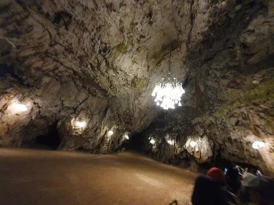 Grotte di Postumia - Park Postojnska jama