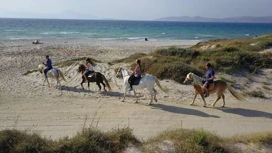 The Ranch Kos Horse Riding