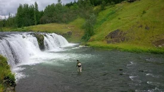 Anglers