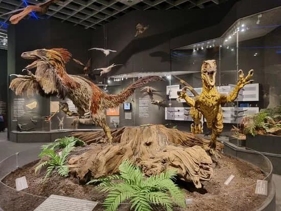 Lwl-museum Of Natural History
