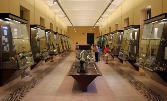 Museo del IES Cabrera Pinto