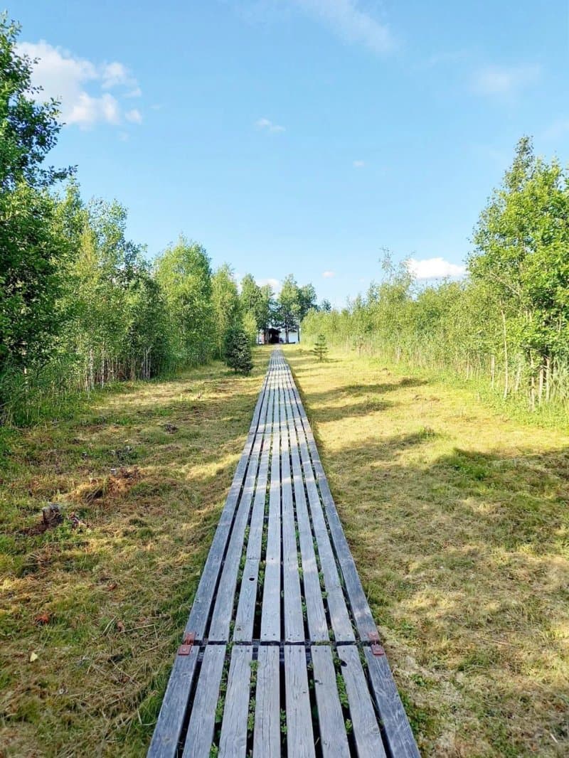 Viki Swamp