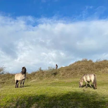 Natuurgebied Oranjezon