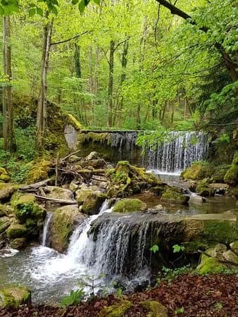 Holzweg Thal