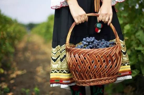 WineTours Moldova