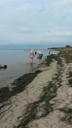 Hemmet Havn