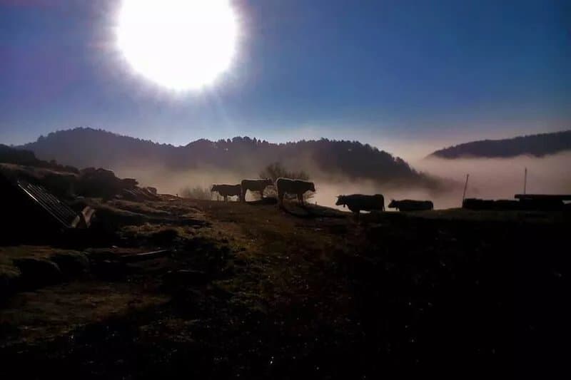 Rural tourism surrounded by nature and tranquility. Come and recharge your