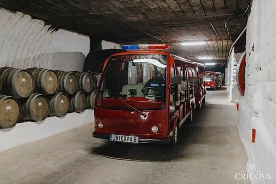Cricova Winery