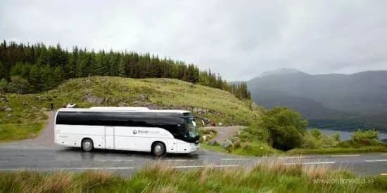 Rose Travel