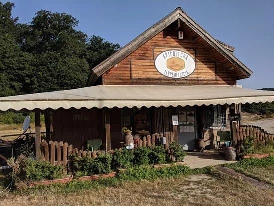 Terre di Tuscia - Azienda Agricola Apicoltura