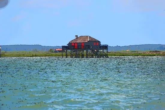 Ile aux Oiseaux