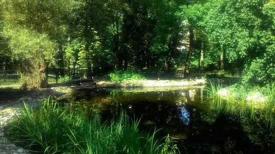 Saxon Garden in Lublin