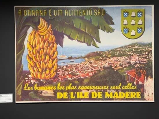 Bam - Centro Da Banana Da Madeira