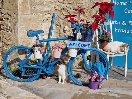 The Arches Artisan Gift Shop Polis