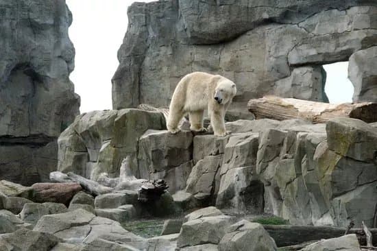 Zoo am Meer