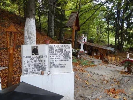 Izvorul Parintelui Arsenie Boca