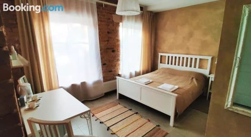 Modern Apartments near Lake in Trakai City Center,