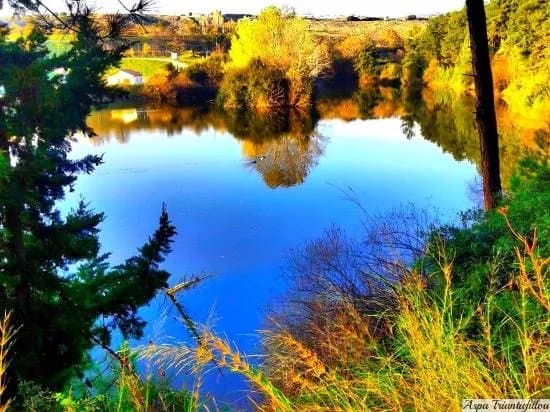 Parks & Nature