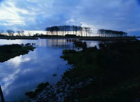 Meetjesland