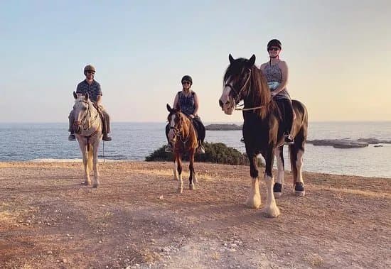 George's Ranch