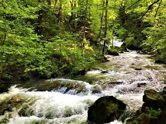 Buehlbach Wasserfaelle