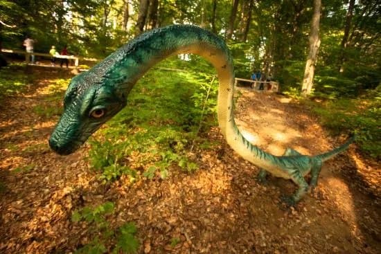 Dino Parc