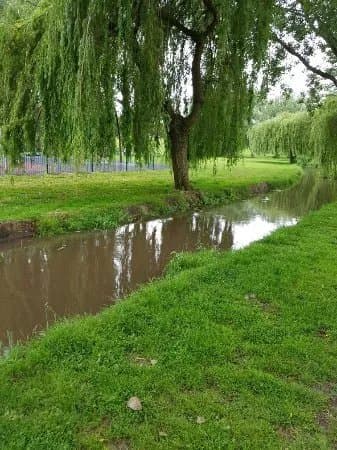 Sanders Park