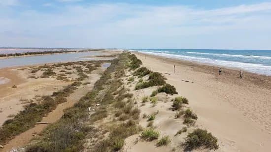 Playa del Trabucador