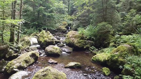 Ravennaschlucht
