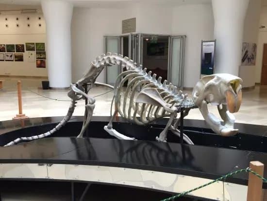 Hungarian Natural History Museum