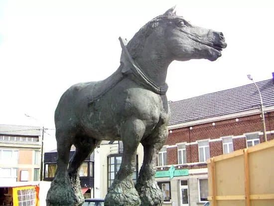 Prins, trots van Brabant