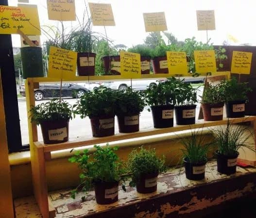 Ronan's Full and Plenty Farm Shop