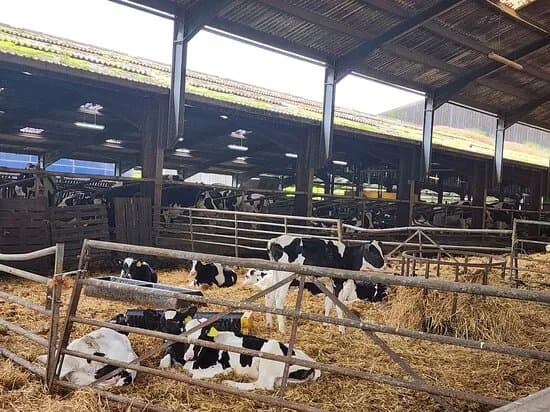 Standhill Farm