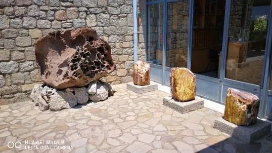 The Natural History Museum of the Lesvos Petrified Forest
