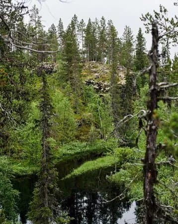 Ruoppakongos - natural attraction n Kittila
