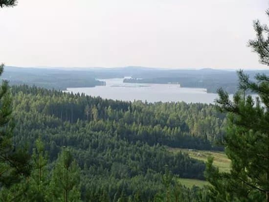 Laavu