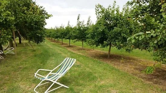 Wachauer Marillen Erlebnisweg