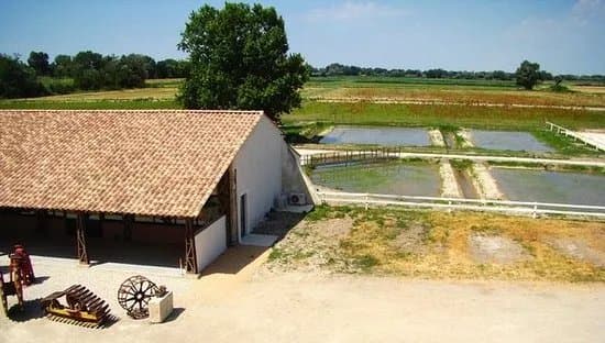 Maison du Riz