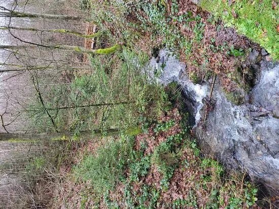 Cascade De Reinhardstein