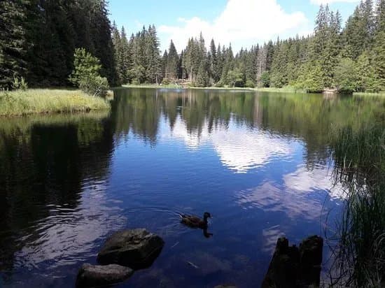 Vrbicke pleso