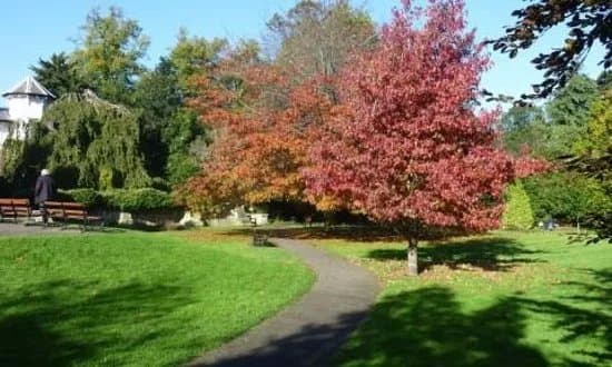 Stephens House & Gardens