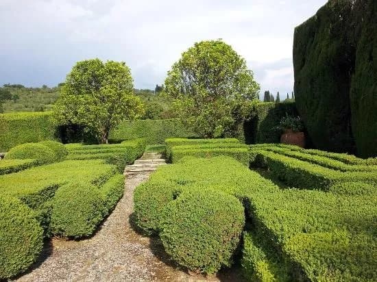 Giardini di Villa Gamberaia