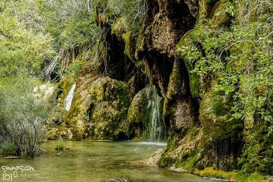 Nacimiento Del Rio Cuervo